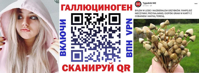 сайты даркнета официальный сайт  Давлеканово  Галлюциногенные грибы Psilocybe  продажа наркотиков 